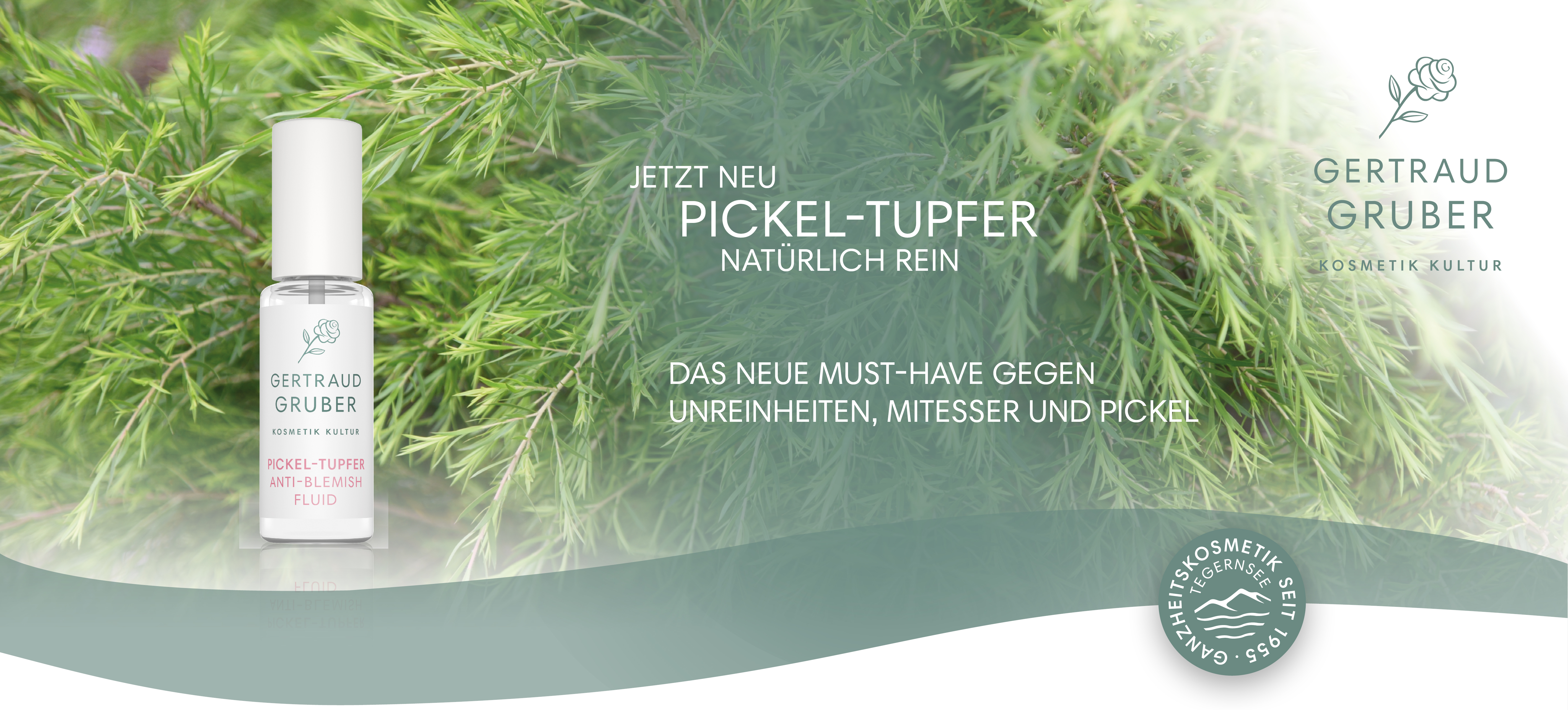 Webbanner Pickeltupfer 1360x616px